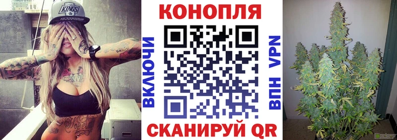 Бошки Шишки OG Kush  Купить где  Острогожск 